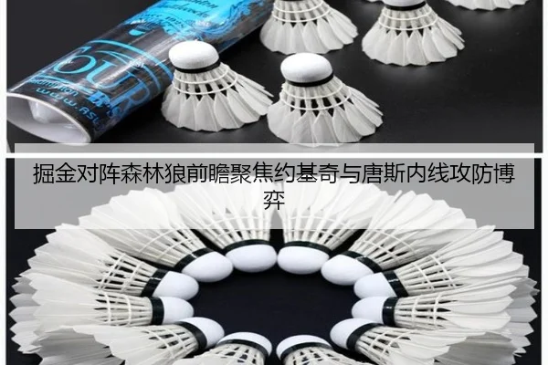 掘金对阵森林狼前瞻聚焦约基奇与唐斯内线攻防博弈