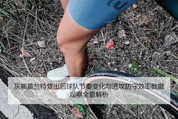 灰熊莫兰特复出后球队节奏变化与进攻防守效率数据观察全景解析