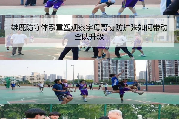 雄鹿防守体系重塑观察字母哥协防扩张如何带动全队升级